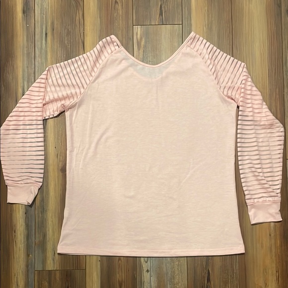 Pale Pink Off the Shoulder Sheer Stripe Sleeve Super Soft Long Sleeve Shirt - Picture 3 of 4